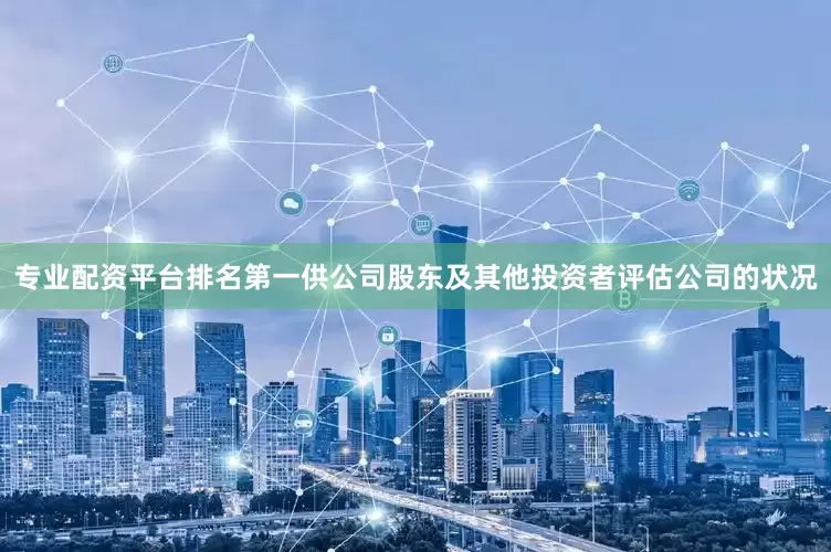 专业配资平台排名第一供公司股东及其他投资者评估公司的状况