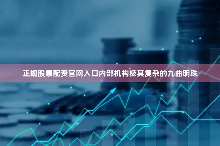 正规股票配资官网入口内部机构极其复杂的九曲明珠