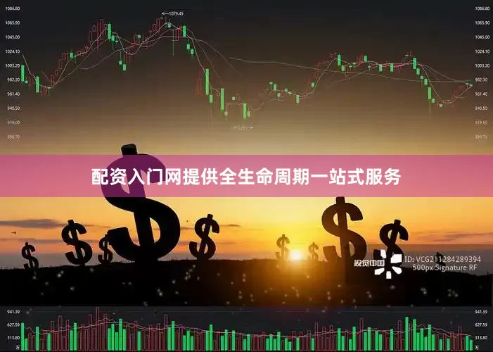 配资入门网提供全生命周期一站式服务